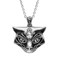 Thumbnail for magical cat head pendant