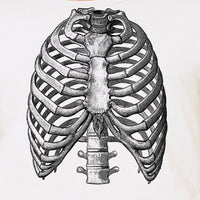 Thumbnail for ribs anatomy men's t-shirt design
