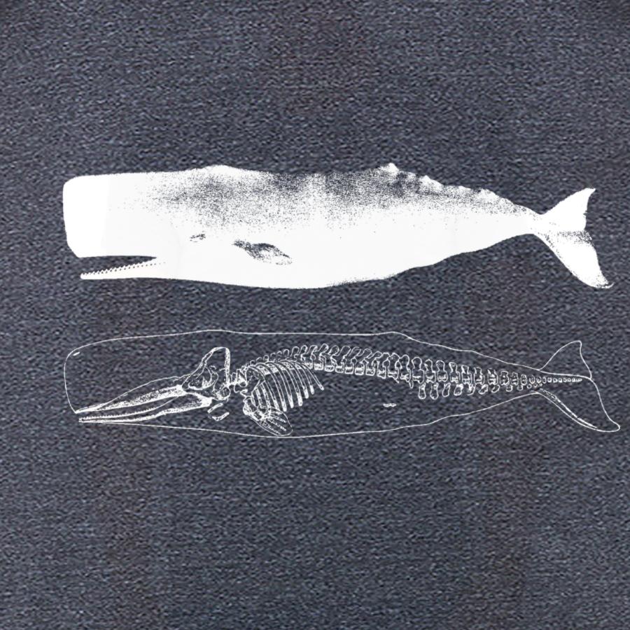 whale skeleton t-shirt design for men